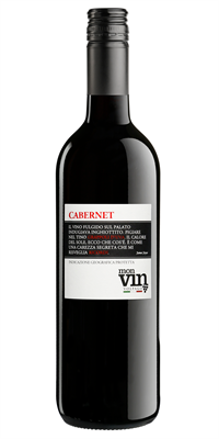 Monvin Cabernet Sauvignon  12x750ml