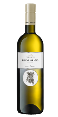 Alois Lageder TERRA ALPINA Pinot Grigio Dolomiti 12x750ml