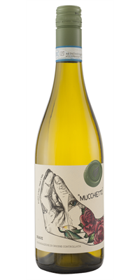 Mucchietto Mucchietto  Soave DOC Mucchietto Organic  12x750ml