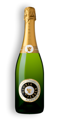 Gloria Ferrer Gloria Ferrer Blanc de Blancs 12x750ml